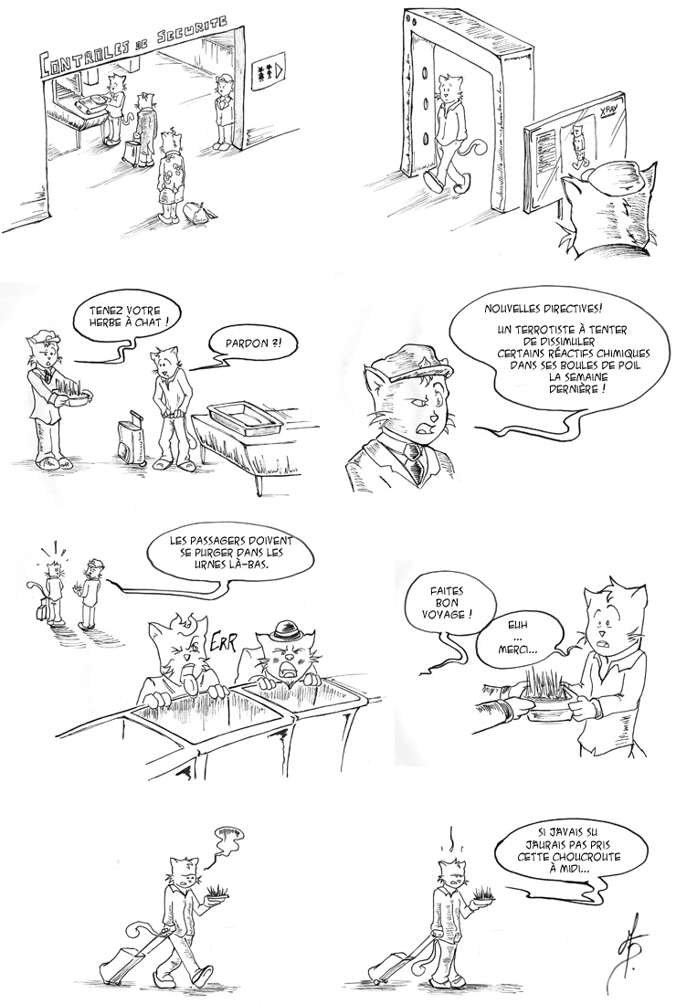 Get an Aircat ../img/bd/m1270t1264544666.jpg