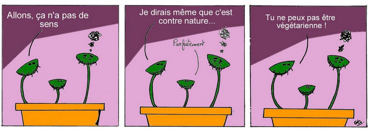 les dionées 1 ../img/bd/m1289t1263054396.jpg