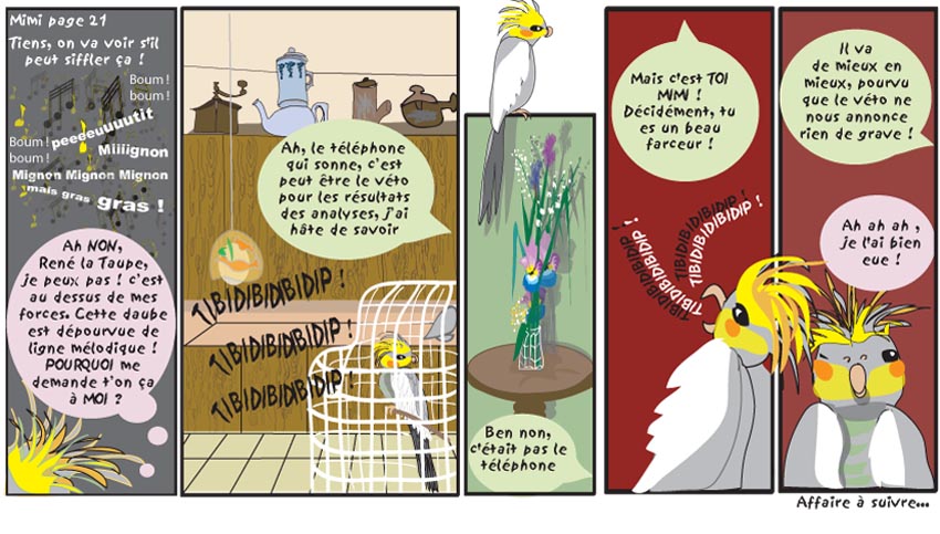 Mimi : carnet de bord d'une Callopsitte. page 21 ../img/bd/m1510t1367135747.jpg