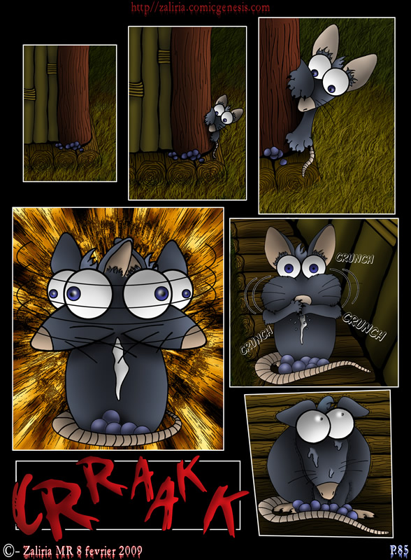 page 85 ../img/bd/m1517t1240274969.jpg
