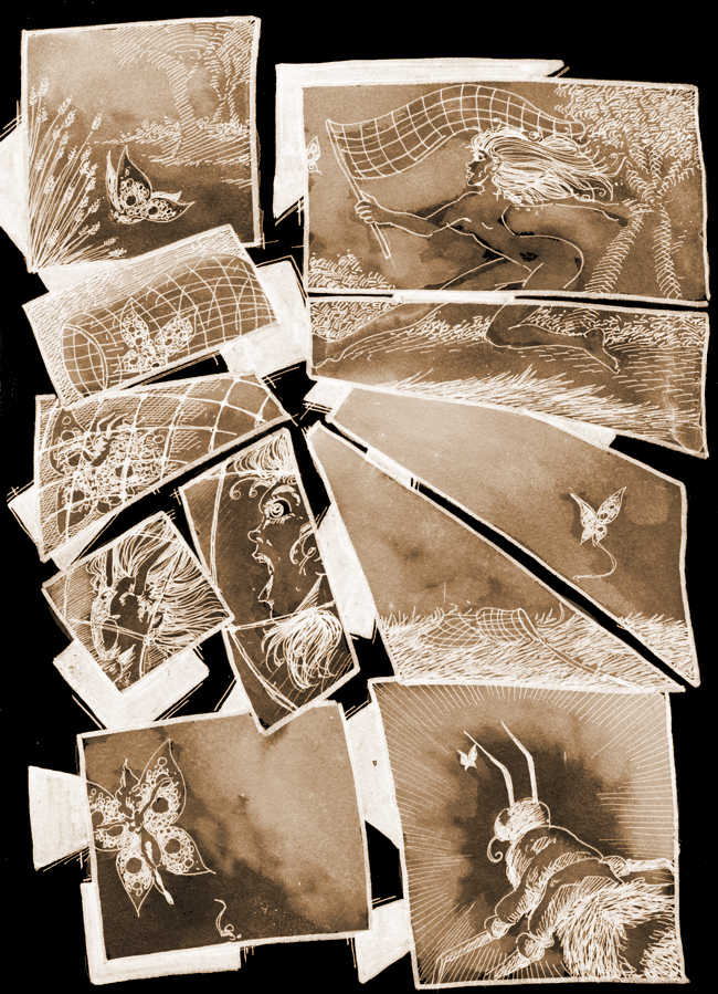 La chasse aux papillons ../img/bd/m1747t1256978526.jpg
