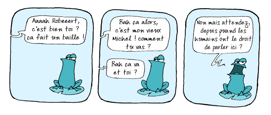 Frogz 11 ../img/bd/m178t1130687966.jpg