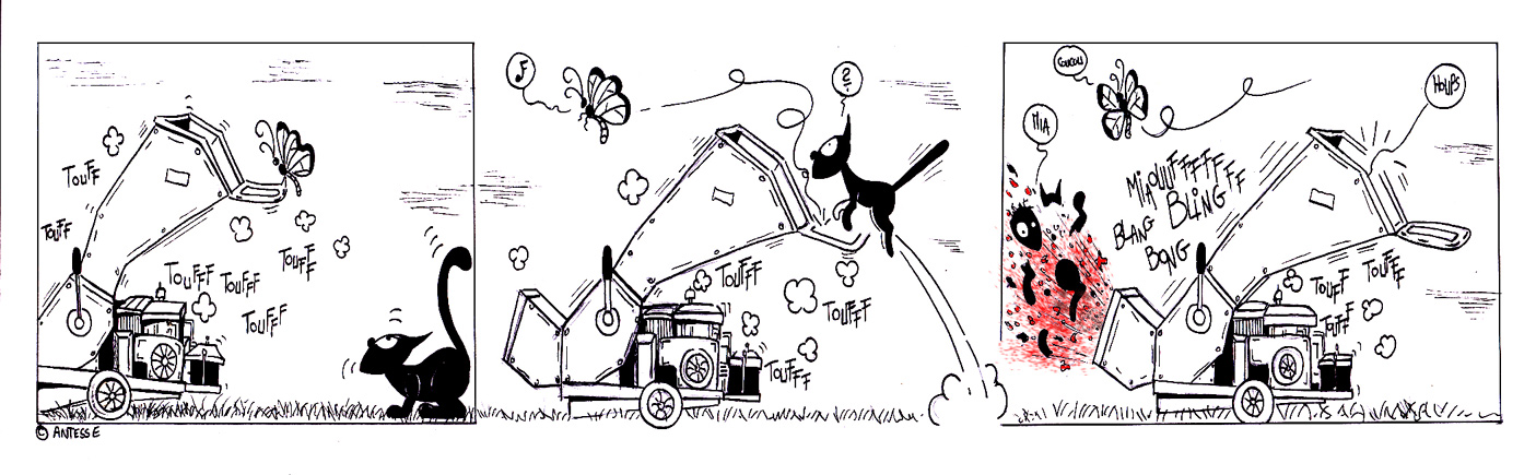 CHAT-PARMANTIER ! ../img/bd/m228t1267018416.jpg