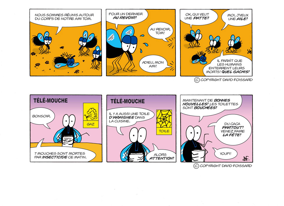 Joe la Mouche 11 et 12 ../img/bd/m843t1143631341.jpg