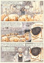 Raymond le Cochon - planche 08