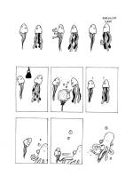 planche des méduses n°1