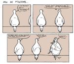 Jeu de pigeons