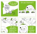 Miaou et gazouillis