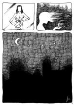 Où les papillons de nuit se cachent-ils le jour ? p2