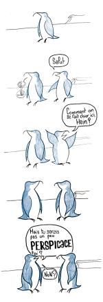 Quelque part en  Antarctique