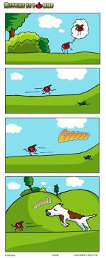 Histoire de pomme 