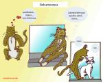 bob amoureux