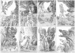 Le dragon et son elfe, 44