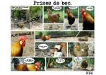 Prises de bec!