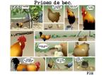 Prises de bec...