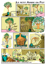 Le petit arbre en pot