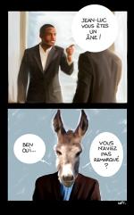 Un vrai âne