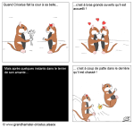 La parade amoureuse du cricetus