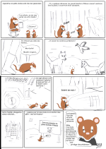 L'histoire des cricetus