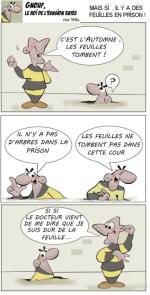l'Automne arrive !...