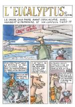 L'Eucalyptus zeitung