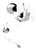 Flying Pig & Wild Cow 8/8