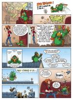 crokky le perroquet P2