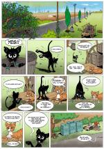 Les chats de la planète : Le tri