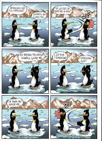 Le pingouins